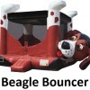 Beagle Belly Bouner